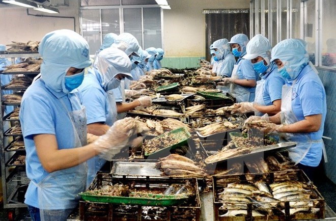 附圖：2018年前兩月越南水產(chǎn)品出口額同比增長近30%。（圖片來源：越通社）