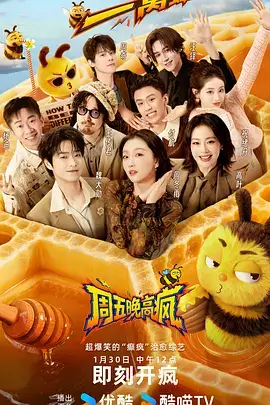 速带节奏 综艺 2025